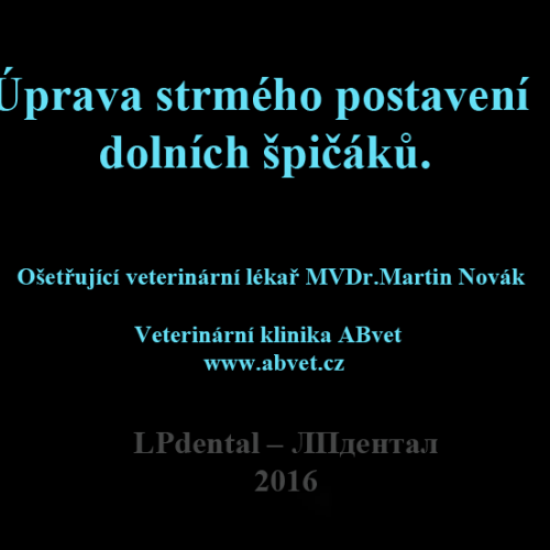 16 Úprava strmého postavení dolních špičáků-MVDr.M.Novák-www.abvet.cz.png