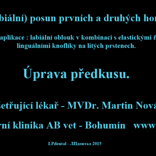 0 Úprava předkusu-MVDr.M.Novák-ABvet-www.abevet.cz.png