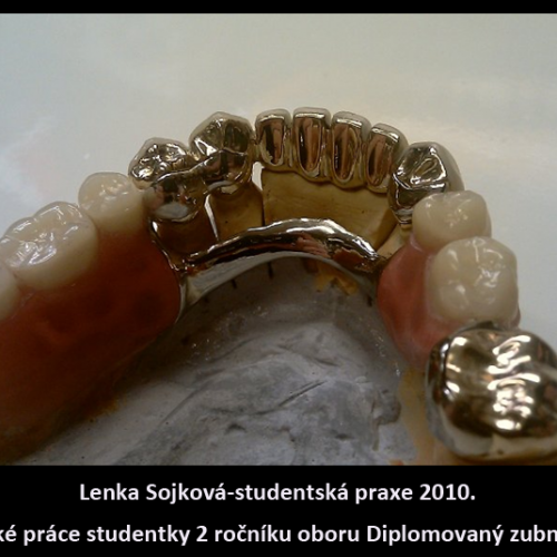 2010 Sojková Lenka