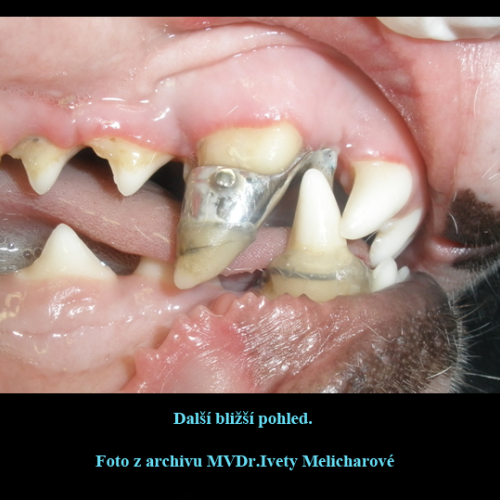 18 MVDr.Iveta Melicharová- Na Weilovně-Petr Moj -LPdental.png