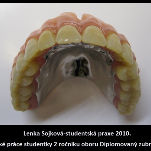 2010 Sojková Lenka