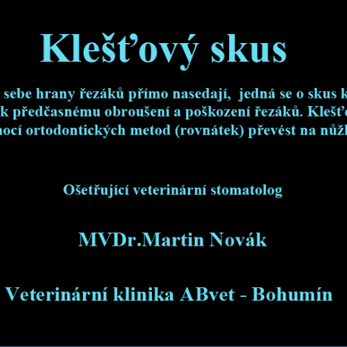 13 MVDr.Martin Novák Veterinární klinika ABvet-Bohumín.png