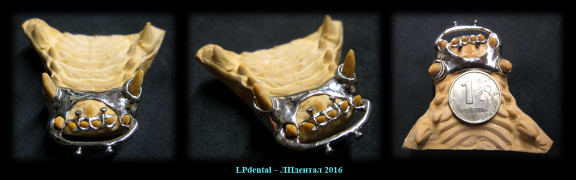 65 Veterinární stomatologie-ortodoncie-Veterinary Dentistry-Orthodontics-Ветеринарная стоматология.p