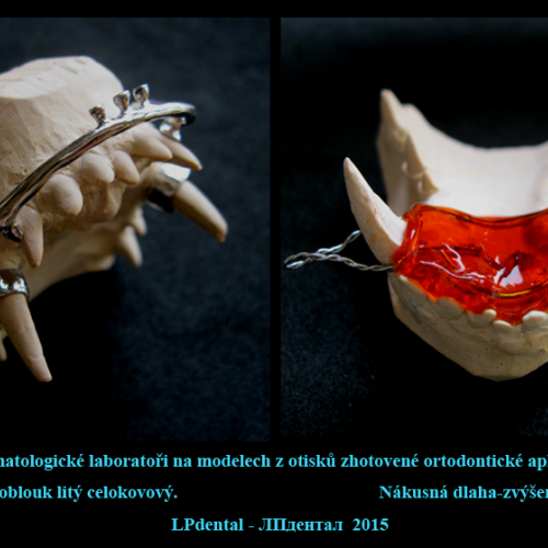 6  MVDr. Melicharová-MVDr.Stloukal-individuální korekce jednoho zubu pomocí elastického řetízku..png