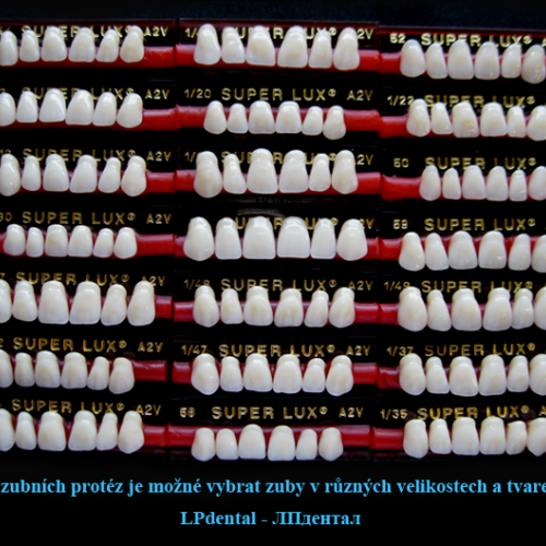 28 Zuby v zůzných tvarech a velikostech.png
