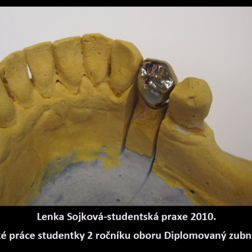 2010 Sojková Lenka
