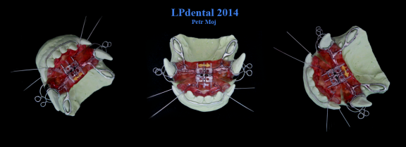 44 Veterinární stomatologie-ortodoncie-Veterinary Dentistry-Orthodontics-Ветеринарная стоматология.p