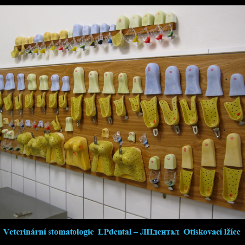 7 Otiskovací lžíce(velikost lžíce)-LPdental -ЛПдентал.png