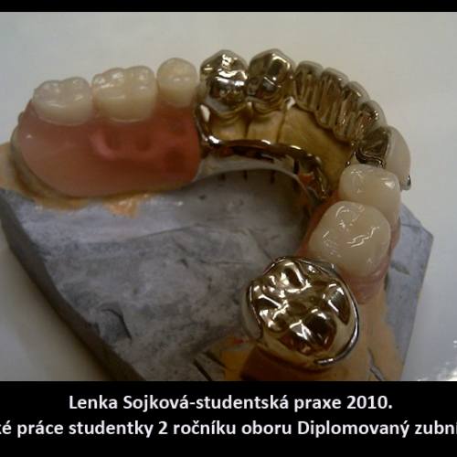 2010 Sojková Lenka