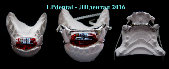 66 Veterinární stomatologie-ortodoncie-Veterinary Dentistry-Orthodontics-Ветеринарная стоматология.p