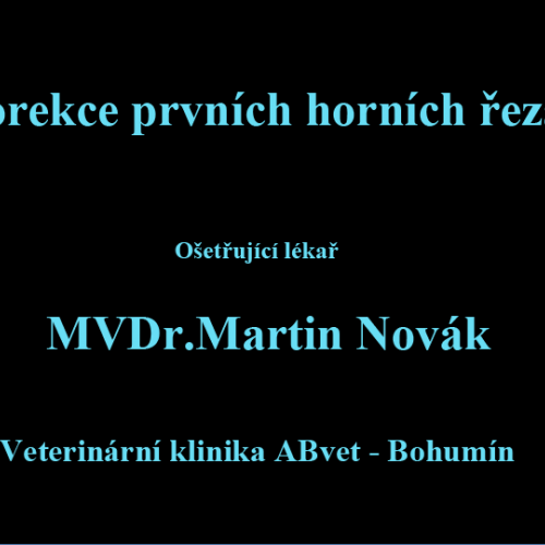 4 MVDr.Martin Novák Veterinární klinika ABvet-Bohumín.png