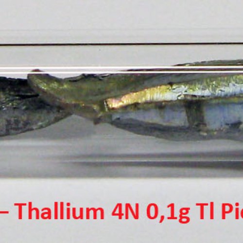 Thallium - Tl – Thallium 4N 0,1g Tl Pieces 1.jpg