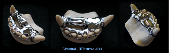 51 Veterinární stomatologie-ortodoncie-Veterinary Dentistry-Orthodontics-Ветеринарная стоматология.p
