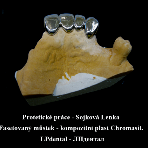 2010 Sojková Lenka