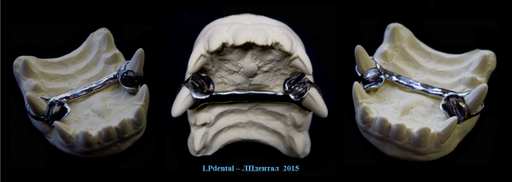 62 Veterinární stomatologie-ortodoncie-Veterinary Dentistry-Orthodontics-Ветеринарная стоматология.p