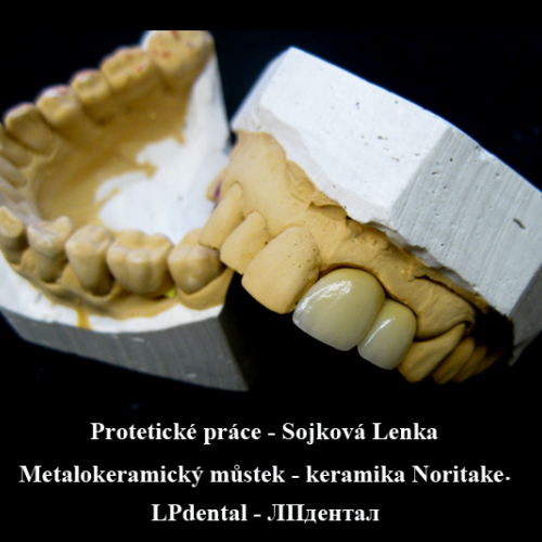 2010 Sojková Lenka