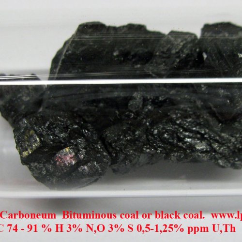 Uhlík - C - Carboneum  Bituminous coal or black coal 5g