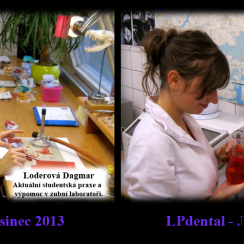 2013 Loderova Dagmar.png