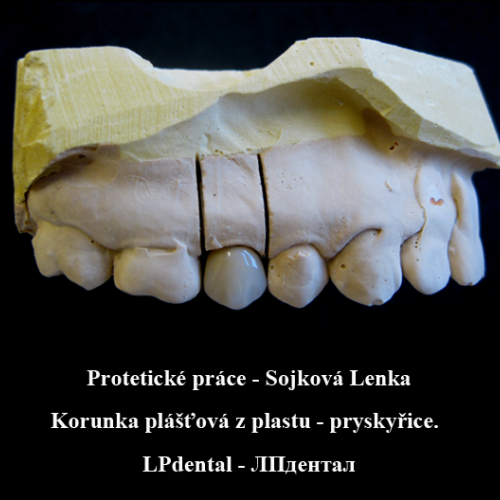 2010 Sojková Lenka