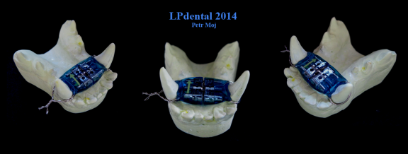 43 Veterinární stomatologie-ortodoncie-Veterinary Dentistry-Orthodontics-Ветеринарная стоматология.p