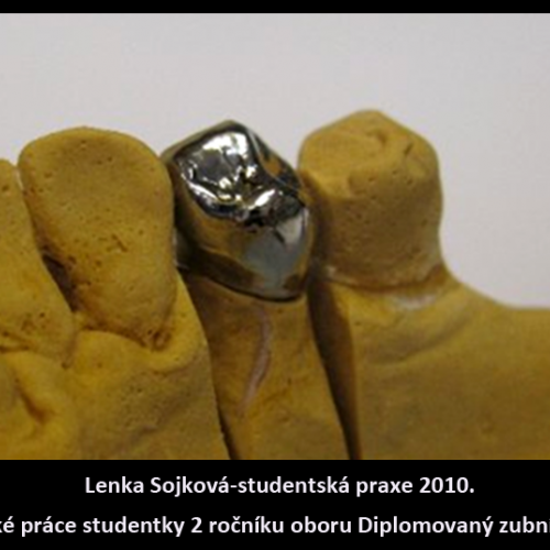 2010 Sojková Lenka