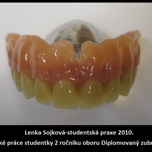 2010 Sojková Lenka