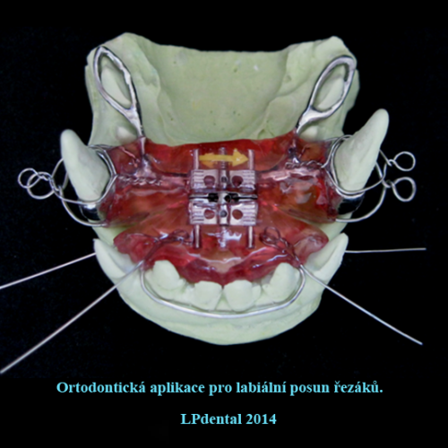 25 MVDr.Iveta Melicharová- Na Weilovně-Petr Moj -LPdental.png