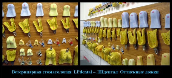 Ветеринарная стоматология  LPdental – ЛПдентал  Оттискные ложки.png