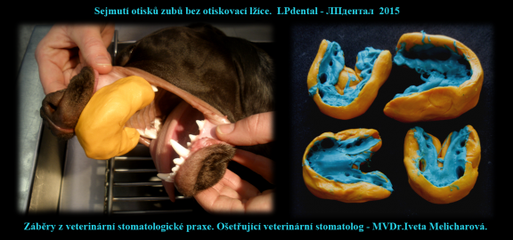 5 Sejmutí otisků zubů  bez otiskovací lžíce-MVDr. Iveta Melicharová..png