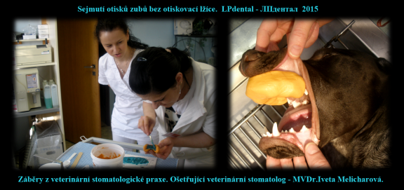 4 Sejmutí otisků zubů bez otiskovací lžíce-MVDr. Iveta Melicharová..png