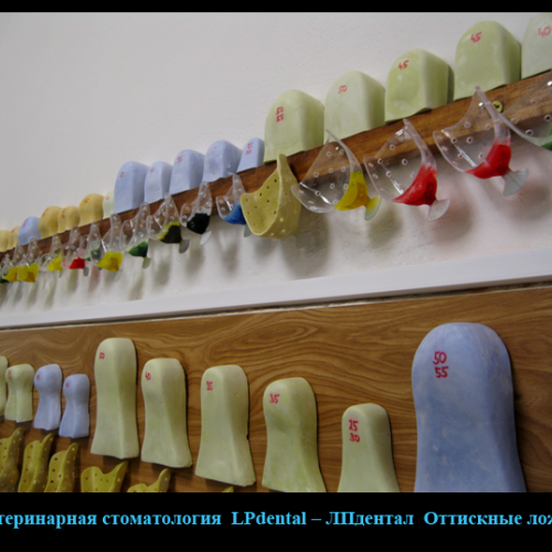 9 Оттискные ложки (размеры  ложки)-LPdental -ЛПдентал.png