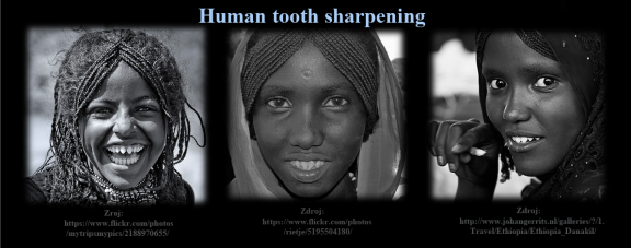 5 Afar -Qafár - Danakil-etnická skupina-Afrika.png