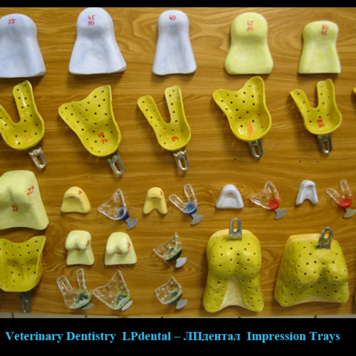 10 Impression Trays (Size Dental Impression Trays   )-LPdental -ЛПдентал.png