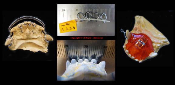 79 Veterinární stomatologie-ortodoncie-Veterinary Dentistry-Orthodontics-Ветеринарная стоматология..