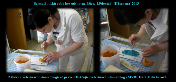 3 Sejmutí otisků zubů bez otiskovací lžíce-MVDr. Iveta Melicharová..png