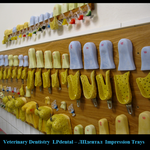 08 Impression Trays (Size Dental Impression Trays   )-LPdental -ЛПдентал.png