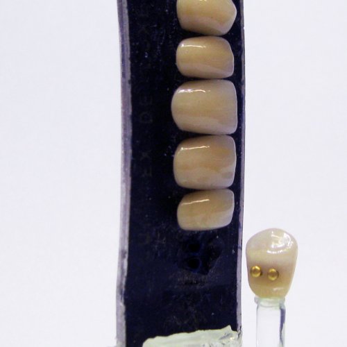 Uran-U-Uranium Containing Dentures ca.1950 Ceramic teeth with gold-plated pins. 1.jpg