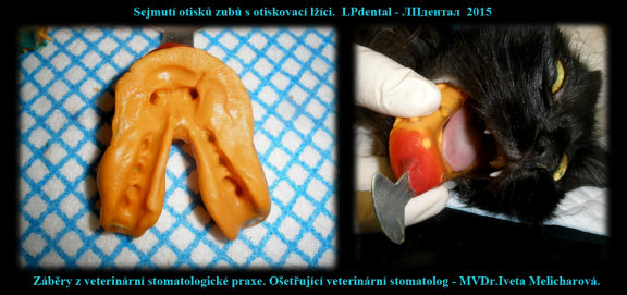 8 Sejmutí otisků zubů s otiskovací lžíci-MVDr. Iveta Melicharová..png