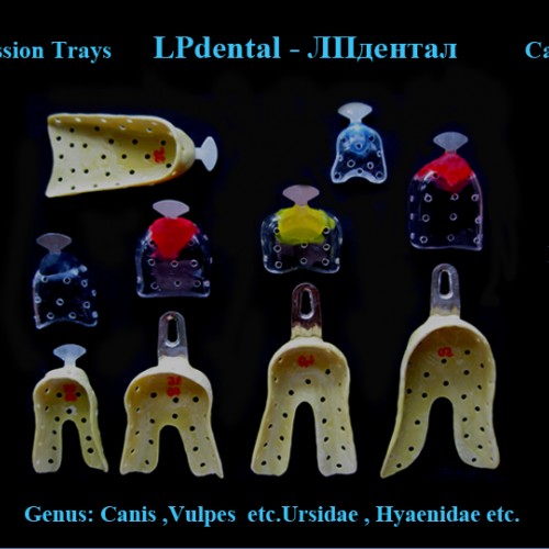 05 Impression Trays - Canidae.png