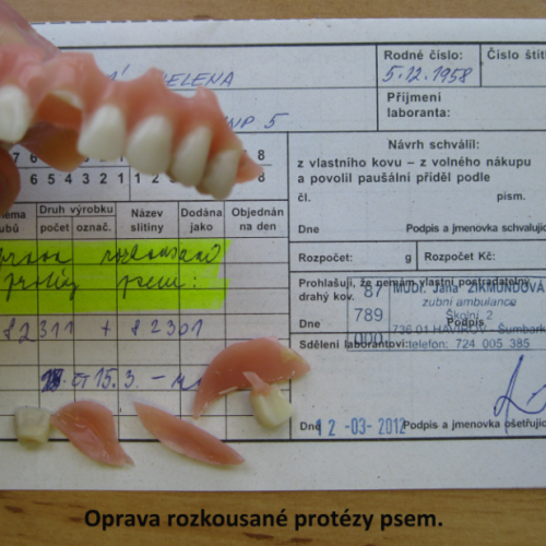 1 Oprava protézy rozkousané psem.png