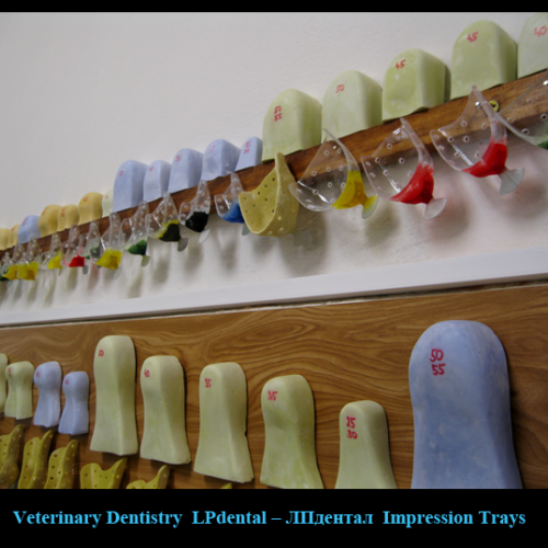 09 Impression Trays (Size Dental Impression Trays   )-LPdental -ЛПдентал.png