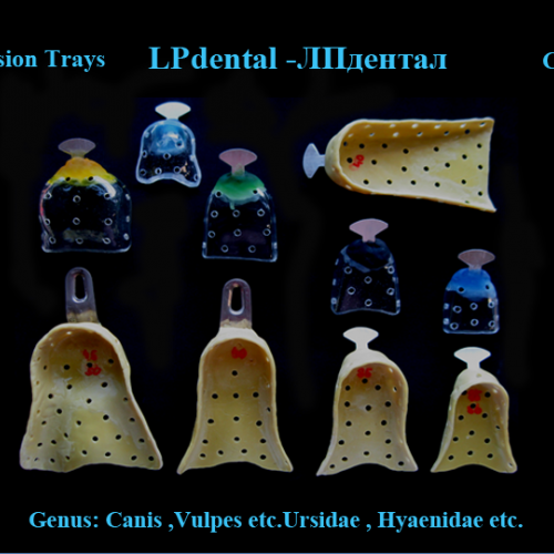 04 Impression Trays - Canidae.png