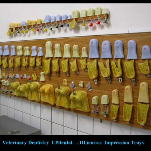 07 Impression Trays (Size Dental Impression Trays   )-LPdental -ЛПдентал.png