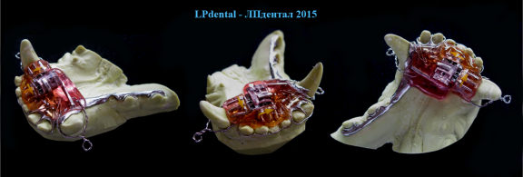 58 Veterinární stomatologie-ortodoncie-Veterinary Dentistry-Orthodontics-Ветеринарная стоматология.p