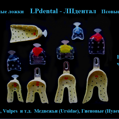 5 Оттискные ложки Псовые (лат. Canidae).png